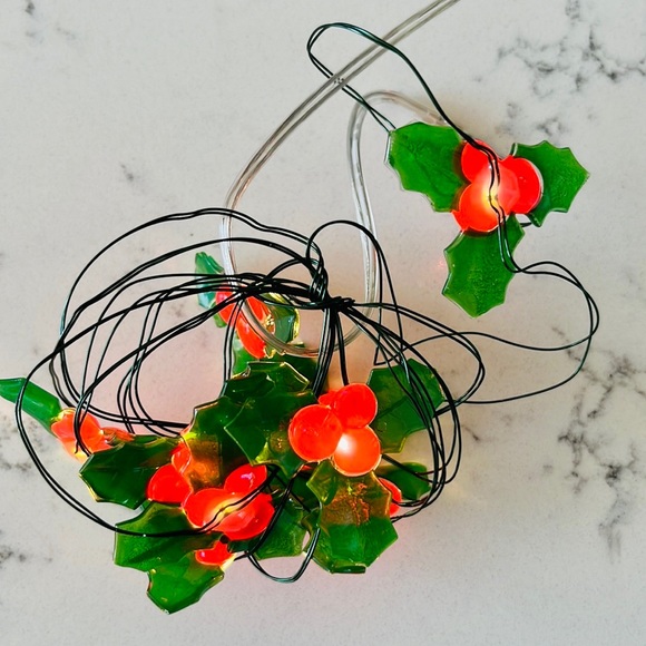 Pier 1  Holly Glimmer 5' LED  String lights - Picture 8 of 15